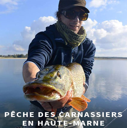 Guide de pêche des carnassiers en Haute-Marne